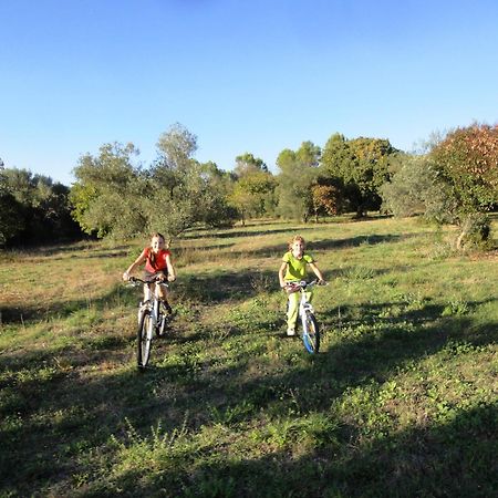 Les Olives Apartment Uzes Bagian luar foto
